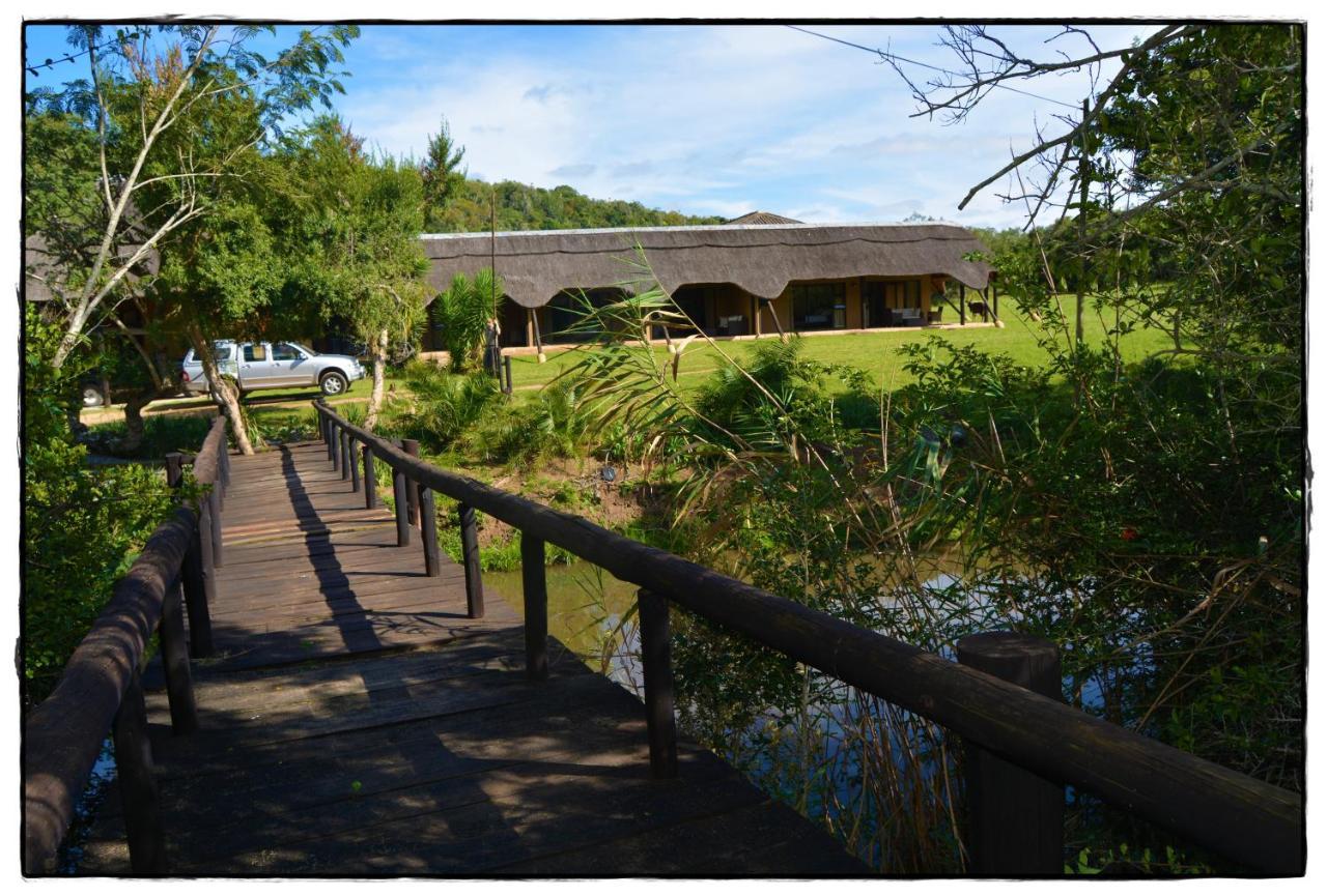 Premier Resort Mpongo Private Game Reserve Macleantown Exterior foto